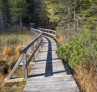 fileadmin/roha/images_galerie/wege/WEGE-STEG-FRIL-0010-D-roha-Wege-Steg-Frillensee-Inzell-Herbst.png