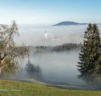 fileadmin/roha/images_galerie/orte_landschaft/Ainring/AINR-UL-0010-04-D-roha-Ainring-Ulrichshoegl-Nebel-Rupertiwinkel.png