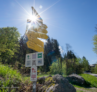 fileadmin/roha/images_galerie/wege/BGD-BISCH-HALLTH-0013-D-roha-Berchtesgaden-Bischofwiesen-Hallthurm-Wegweiser-Sonne.png