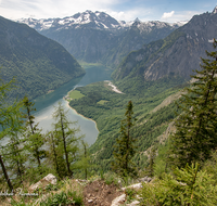 fileadmin/roha/images_galerie/orte_landschaft/Berchtesgaden/Koenigssee/BGD-KUEHROINT-0028-D-roha-Berchtesgaden-Kuehroint-Watzmann-Koenigssee-Hirschau.png