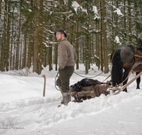 fileadmin/roha/images_galerie/Landwirtschaft/Forst-Holzknecht/HOLZKNE-HAM-PFERD-0015-1121-02-D-roha-Holzknecht-Pferd-Winter-Siegsdorf-Hammer-Winterzug.png