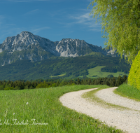 fileadmin/roha/images_galerie/wege/LANDS-TEIS-ARN-0001-D-roha-Landschaft-Teisendorf-Arnolding-Weg-Hochstaufen.png