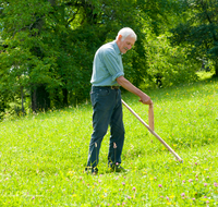 fileadmin/roha/images_galerie/Landwirtschaft/LANDW-HAND-SENS-0028-D-roha-Landwirtschaft-Handarbeit-Sense-Bauer-Blumenwiese-maehen.png