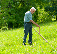 fileadmin/roha/images_galerie/Landwirtschaft/LANDW-HAND-SENS-0028-D-roha-Landwirtschaft-Handarbeit-Sense-Bauer-Blumenwiese-maehen.png