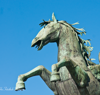 fileadmin/roha/images_galerie/orte_landschaft/Salzburg/Mirabell-Zwergerlgarten/SA-MIRA-GART-FIG-0003-D-roha-Salzburg-Mirabell-Garten-Figuren-Pegasuspferd.png