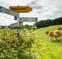 fileadmin/roha/images_galerie/wege/WEGE-PE-FUR-0004-D-roha-Wander-Rad-Weg-Petting-Beschilderung.png