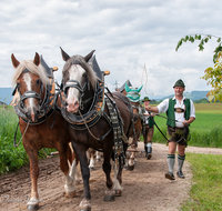 fileadmin/roha/images_galerie/brauchtum/Leonhardiritt/Holzhausen_01/BR-PFRI-HOLZ-2015-0067-1052-0952-01-D-roha-Brauchtum-Pferdeumritt-Holzhausen-Teisendorf-Leonhardiritt.png