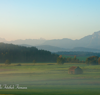 fileadmin/roha/images_galerie/orte_landschaft/Haarmoos/HAARM-0045-D-roha-Abtsdorf-Laufen-Haarmoos-Morgenstimmung-Stadel-Hochstaufen.png