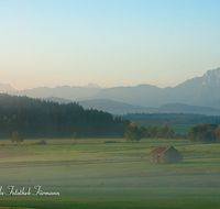 fileadmin/roha/images_galerie/orte_landschaft/Haarmoos/HAARM-0045-D-roha-Abtsdorf-Laufen-Haarmoos-Morgenstimmung-Stadel-Hochstaufen.png