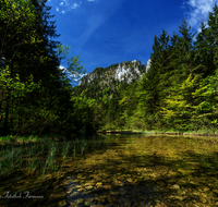 fileadmin/roha/images_galerie/orte_landschaft/Inzell/INZ-FALKS-0011-D-roha-Inzell-Falkensee-Wasser.png