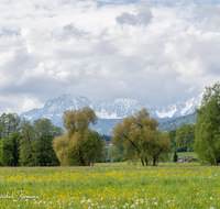 fileadmin/roha/images_galerie/orte_landschaft/Teisendorf/IN-LANDS-Teisendorf/LANDS-TEIS-0002-14-D-roha-Landschaft-Teisendorf-Karlsbach-Hochstaufen.png