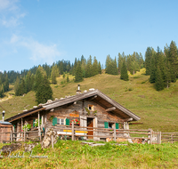 fileadmin/roha/images_galerie/architektur-Haeuser/UNK-HEUT-HOCH-0002-D-roha-Unken-Heutal-Hochalm-Eggerkaser-Alm.png