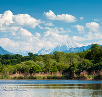 fileadmin/roha/images_galerie/orte_landschaft/Abtsdorf-Abtsdorfer-See/ABTS-SEE-0012-D-roha-Abtsdorfer-See-Leobendorf-Abtsdorf-Saaldorf-Laufen-Wasser-Watzmann.png