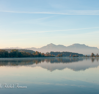 fileadmin/roha/images_galerie/orte_landschaft/Abtsdorf-Abtsdorfer-See/ABTS-SEE-STIM-0003-D-roha-Abtsdorfer-See-Ufer-Herbst-Stimmung.png