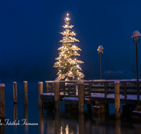 fileadmin/roha/images_galerie/orte_landschaft/Berchtesgaden/Koenigssee/BGD-KOE-SEELAEN-NA-2016-1703-02-D-roha-Berchtesgaden-Koenigssee-Seelaende-Nacht-Christbaum-Winter.png