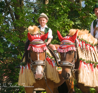 fileadmin/roha/images_galerie/brauchtum/Leonhardiritt/Inzell/BR-PFRI-INZ-0017-D-roha-Brauchtum-Pferdeumritt-Inzell-Michaeliritt-Pferd-Reiter.png