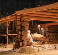 fileadmin/roha/images_galerie/orte_landschaft/Bad_Reichenhall_-_Stallweihnacht/BR-WEIH-STALL-2019-2045-D-roha-Brauchtum-Weihnachten-Krippe-Stall-Weihnacht-Bad-Reichenhall.png