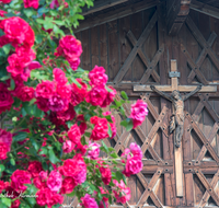 fileadmin/roha/images_galerie/kirche_religion/Teisendorf/Freidling-Berg-Stoisseralm/KKKM-TEIS-BERG-NIED-0003-D-roha-Wegkeuz-Teisendorf-Niederreit-Kletterrose-Kreuzbund-Stadel.png