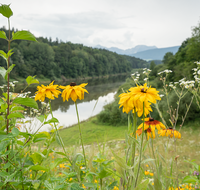 fileadmin/roha/images_galerie/orte_landschaft/Petting/PE-SURSP-0016-D-roha-Petting-Teisendorf-Surspeicher-Wasser-Blumenwiese.png