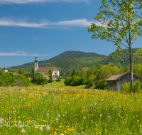 fileadmin/roha/images_galerie/orte_landschaft/Ruhpolding/RUH-ORT-0013-D-roha-Ruhpolding-Kirche-St-Georg-Blumenwiese.png