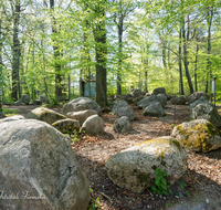 fileadmin/roha/images_galerie/orte_landschaft/Teisendorf/Geo-Park-Lehrpfad/TEI-GEOL-GAR-0026-D-roha-Teisendorf-Geologischer-Garten-Findlinge-Steine-Fruehjahr.png