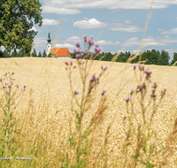 fileadmin/roha/images_galerie/orte_landschaft/Tittmoning/TITTM-ASTEN-0010-D-roha-Tittmoning-Asten-Kirche-Getreide-Feld.png