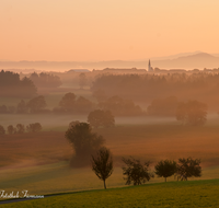 fileadmin/roha/images_galerie/orte_landschaft/Ainring/AINR-STRASS-STIM-0009-D-roha-Ainring-Strass-Stimmung-Sonnenaufgang-Nebel.png