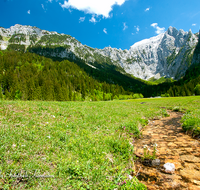 fileadmin/roha/images_galerie/orte_landschaft/Berchtesgaden/Jenner-Schoenau/BGD-SCHARITZ-0004-D-roha-Berchtesgaden-Schoenau-Scharitzkehl-Hoher-Goell-Bach-Wasser.png