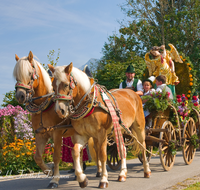 fileadmin/roha/images_galerie/brauchtum/Leonhardiritt/Inzell/BR-PFRI-INZ-0007-D-roha-Brauchtum-Pferdeumritt-Inzell-Michaeliritt-Pferd-Reiter-Wagen-Engel.png