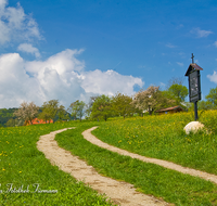 fileadmin/roha/images_galerie/kirche_religion/Ainring-Kreuzweg/KKKM-AINR-KR-09-0017-1-D-roha-Kreuzweg-Ainring-Ulrichshoegl-Kirche-Fruehling-Weg.png