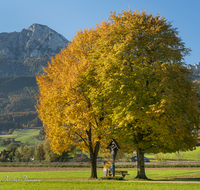 fileadmin/roha/images_galerie/kirche_religion/Anger/KKKM-ANG-MITT-WEG-0067-D-roha-Weg-Kreuz-Anger-Mitterweg-Hochstaufen.png