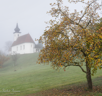 fileadmin/roha/images_galerie/orte_landschaft/Saaldorf/SAAL-SILL-0020-D-roha-Saaldorf-Sillersdorf-Kirche-St-Georg-Herbst-Nebel.png