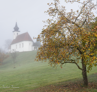 fileadmin/roha/images_galerie/orte_landschaft/Saaldorf/SAAL-SILL-0020-D-roha-Saaldorf-Sillersdorf-Kirche-St-Georg-Herbst-Nebel.png