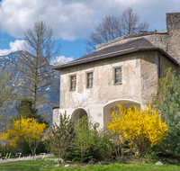 fileadmin/roha/images_galerie/orte_landschaft/Bad_Reichenhall/BAD-REI-GRUT-0006-D-roha-Bad-Reichenhall-Burg-Gruttenstein-Forsythia-x-intermedia-Forsythie-Hochstaufen.png