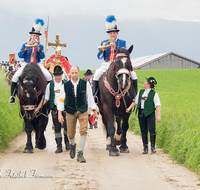 fileadmin/roha/images_galerie/brauchtum/Leonhardiritt/Holzhausen_01/BR-PFRI-HOLZ-2015-0006-D-roha-Brauchtum-Pferdeumritt-Holzhausen-Teisendorf-Leonhardiritt-Feldweg-Postillon-Kreuztraeger-hl-Georg.png