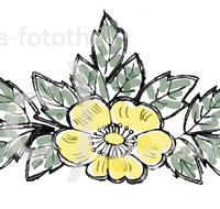 fileadmin/roha/images_galerie/Clipart/Blumenornament-001-F-gelb_Kopie.jpg