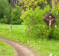 fileadmin/roha/images_galerie/kirche_religion/Teisendorf/KKKM-TEIS-HOLZ-0112-roha-Weg-Kreuz-Stegreuth-Teisendorf-Flieder.png