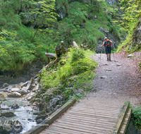 fileadmin/roha/images_galerie/Freizeit-Sport/Wandern/SCHNEILZL-WA-BA-WE-0005-D-roha-Schneizlreuth-Weissbach-Waldbahnweg-Wandern-Weg.png