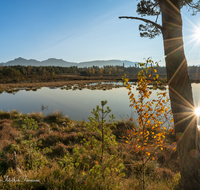 fileadmin/roha/images_galerie/orte_landschaft/Petting/Schoenramer-Moor/SON-UN-SCHOEN-0003-1546-D-roha-Sonnenuntergang-Schoenramer-Moor-See.png