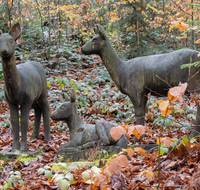 fileadmin/roha/images_galerie/orte_landschaft/Teisendorf/Geo-Park-Lehrpfad/WEGE-TEIS-VERS-0009-03-D-roha-Weg-Teisendorf-Skulpturenweg-Wald-Herbst-Reh.png