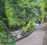 fileadmin/roha/images_galerie/orte_landschaft/Schneizlreuth/SCHNEILZL-WA-BA-WE-0001-D-roha-Schneizlreuth-Weissbach-Waldbahnweg-Wandern-Weg.png