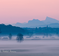 fileadmin/roha/images_galerie/orte_landschaft/Abtsdorf-Abtsdorfer-See/STIM-HAARM-ABTS-0002-D-roha-Stimmung-Haarmoos-Abtsdorf-Sonnenaufgang.png