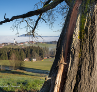 fileadmin/roha/images_galerie/orte_landschaft/Ainring/AINR-UL-0010-08-D-roha-Ainring-Ulrichshoegl-Nebel-Rupertiwinkel.png