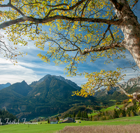 fileadmin/roha/images_galerie/orte_landschaft/Berchtesgaden/Ramsau/BGD-RA-LAN-0046-D-roha-Berchtesgaden-Ramsau-Landschaft-Blaueis-Hochkalter-Bergahorn-Reiter-Alpe.png