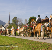 fileadmin/roha/images_galerie/brauchtum/Leonhardiritt/Inzell/BR-PFRI-INZ-0003-D-roha-Brauchtum-Pferdeumritt-Inzell-Michaeliritt-Klosterschwester-Pferd-Reiter.png