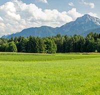 fileadmin/roha/images_galerie/orte_landschaft/Teisendorf/IN-LANDS-Teisendorf/LANDS-TEIS-PUN-0036-D-P-roha-Landschaft-Teisendorf-Punschern-Untersberg-Hochstaufen-Zwiesel.png