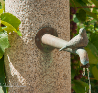 fileadmin/roha/images_galerie/orte_landschaft/Teisendorf/Teisendorf-Markt/TEI-MA-HAUP-BRUN-0001-D-roha-Teisendorf-Hauptmanngasse-Brunnen-Wasser-Vogel.png