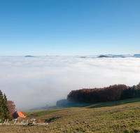 fileadmin/roha/images_galerie/orte_landschaft/Anger/Anger/Anger-Stimmung/AN-PAN-FUER-0007-D-roha-Anger-Panorama-Fuermannalm-Hoegl-Nebel-Herbst.png