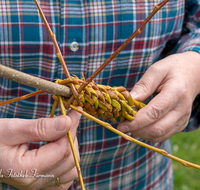 fileadmin/roha/images_galerie/brauchtum/Ostern/BR-OST-PALM-0010-0-15-D-roha-Brauchtum-Ostern-Palmbesen-binden-Weide-Stock-Gerte-Hand.png