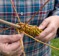 fileadmin/roha/images_galerie/brauchtum/Ostern/BR-OST-PALM-0010-0-15-D-roha-Brauchtum-Ostern-Palmbesen-binden-Weide-Stock-Gerte-Hand.png